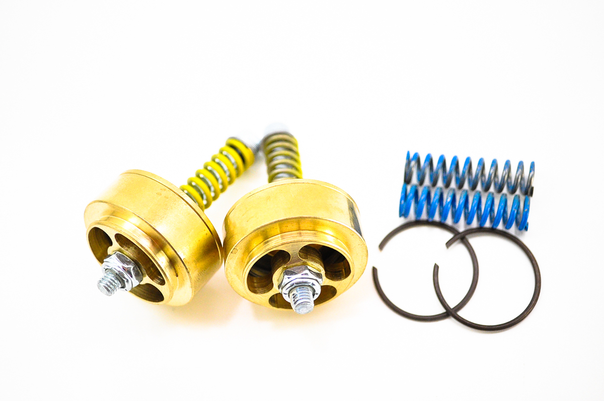 Race Tech Gold Valve Cartridge Fork Emulators FEGVS4101 eBay