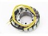 Electrosport Industries 3 Phase Stator
