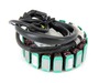 Electrosport Industries Stator