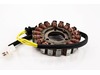 Rick's Motorsport Stator Rick's Motorsport Stator