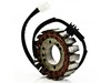 Rick's Motorsport Stator Rick's Motorsport Stator