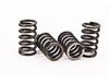 EBC CSK Clutch Spring Kit EBC CSK Clutch Spring Kit