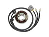 Electrosport Industries High Power Stator Electrosport Industries High Power Stator