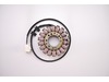 Rick's Motorsport Stator Rick's Motorsport Stator